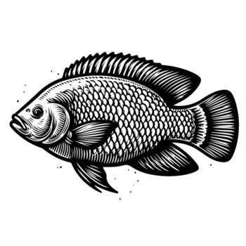 Trizan Tilapia